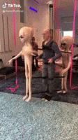 200.gif