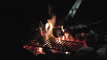 Camp Fire GIF by Jugendleiter-Blog