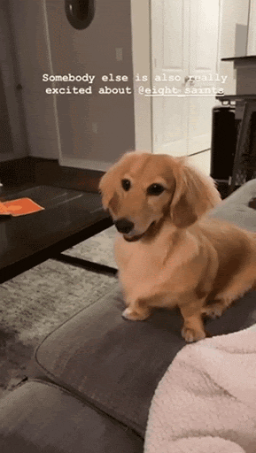 Eight Saints Skincare GIF