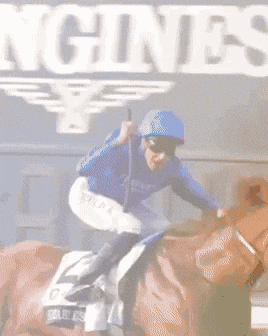 GIF by World Horse Racing