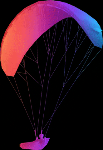 Pilot Paragliding GIF by Carinthian Paragliders
