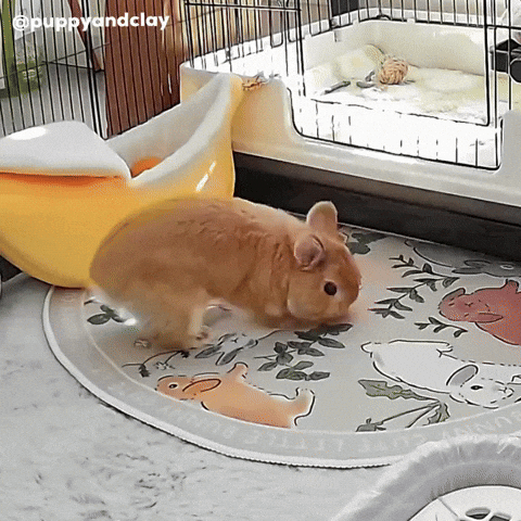 Puppyandclay GIF