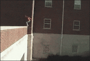 Featured image of post Anime Falling Off Building Gif Sad