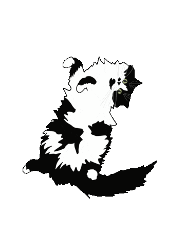Cat Sticker