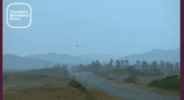tmb  GIF