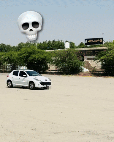 Car Women GIF