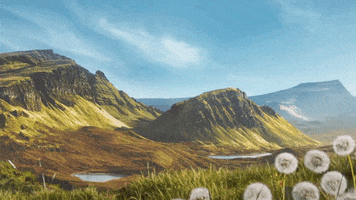 Gilbert GIF by The Famous Grouse