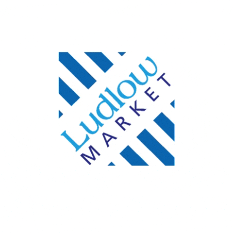 Market Ludlow GIF by littletwidlets