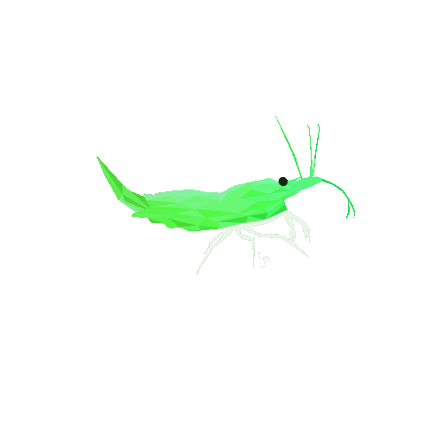 yourShrimp Sticker