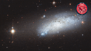 Stars Nasa GIF by ESA/Hubble Space Telescope
