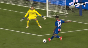 Paris Saint-Germain Psg GIF