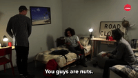 You Are Nuts GIFs