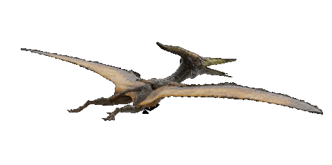 jurassic park 3 pteranodon gif