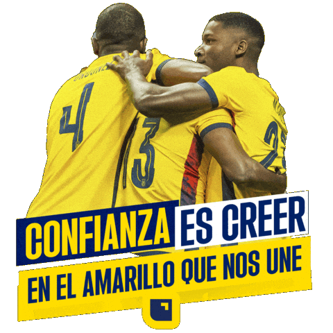 Ecuador Finanzas Sticker by Banco Pichincha