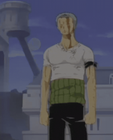 One Piece Zoro GIF