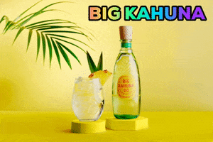 bigkahunaspirits cheers tropical gin gintonic GIF