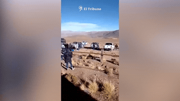 El Tribuno GIF
