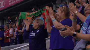 Womens Soccer Cheer GIF by National Women's Soccer League