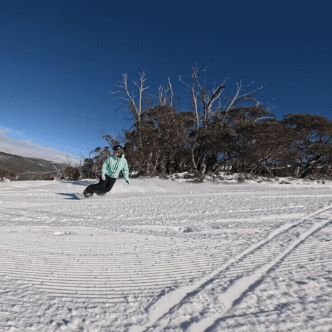 GIF by Thredbo