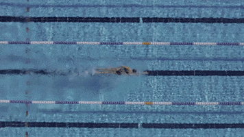 Pool Swimming GIF by 2XU