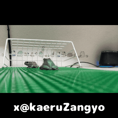 Soccer GIF