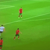 meme-tuga-Z07YSn7n0nkv24fYKo