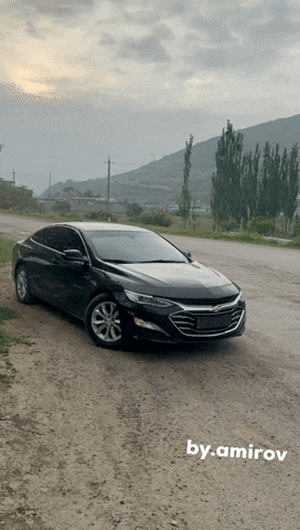 Malibu GIF