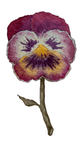 Vintage Flower Sticker