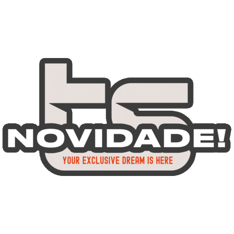 TS Motors Sticker