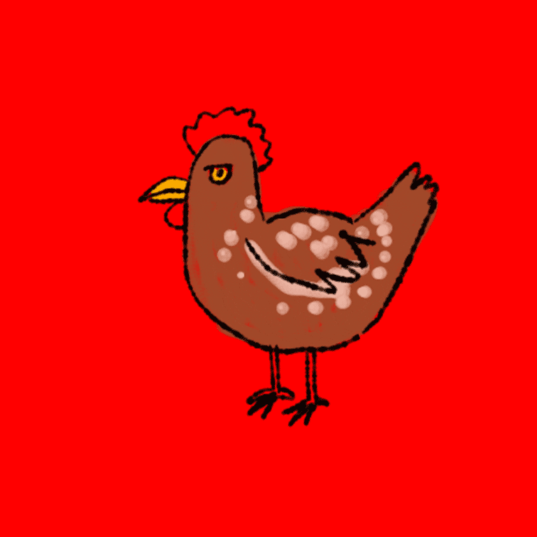 Illustration Chicken GIF