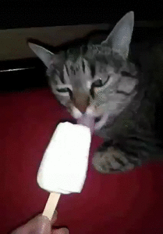 source.gif