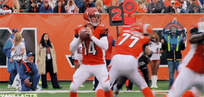 cleveland browns nfl GIF