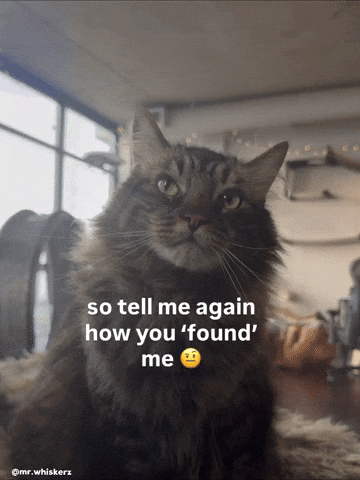 Mrwhiskerz GIF