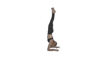 Yoga Towing Sticker by Shimis