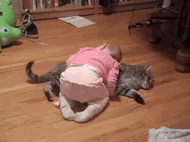 Tired Cat GIF