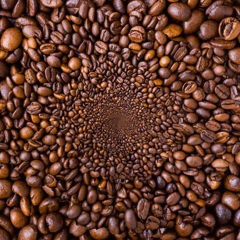 yirmibirco espresso kahve coffee bean yirmibirco GIF