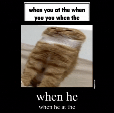 Orange Cat I Love Cats GIF