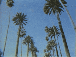 I Love La Los Angeles GIF by vhspositive