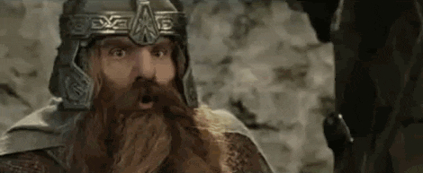 Giphy - the lord of the rings dwarf GIF