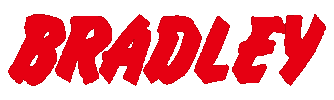 Bradley Sticker by 4x4 Engineering Service JAPAN