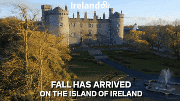 Travel Fall GIF by Tourism Ireland