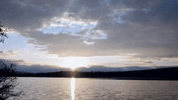 fisking sunset norway fisking gausdal GIF