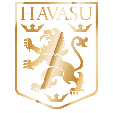 Havasu Lions FC Sticker