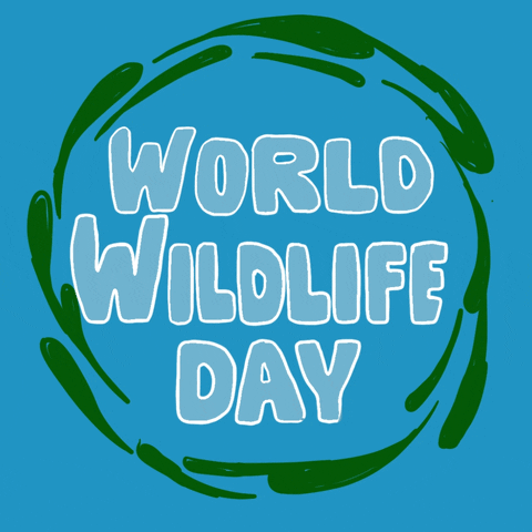 Text gif. Blurs of kelly green spin on a sky blue background around text that reads, "World Wildlife Day." As the blurs slow and come to a stop, they assume the shapes of wild animals.