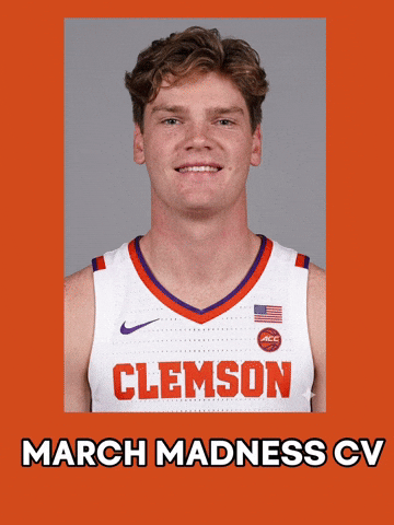 Clemson Tigers Touchdown GIF