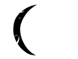 Moon Half Sticker
