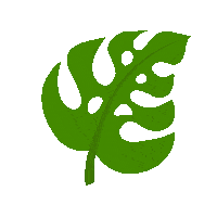 Leaf Jungle Sticker