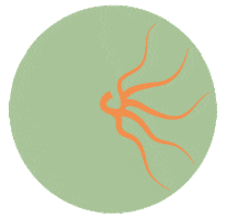 SOLANGISM Sticker