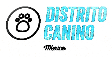 GIF by Distritocanino