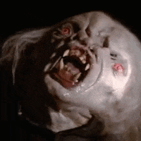 the funhouse horror movies GIF by absurdnoise
